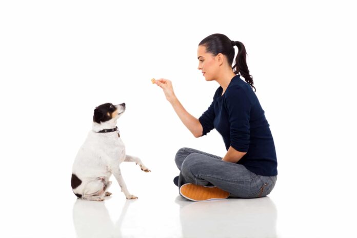 Dog-Training-Positive-Reinforcement-and-Operant-Conditioning
